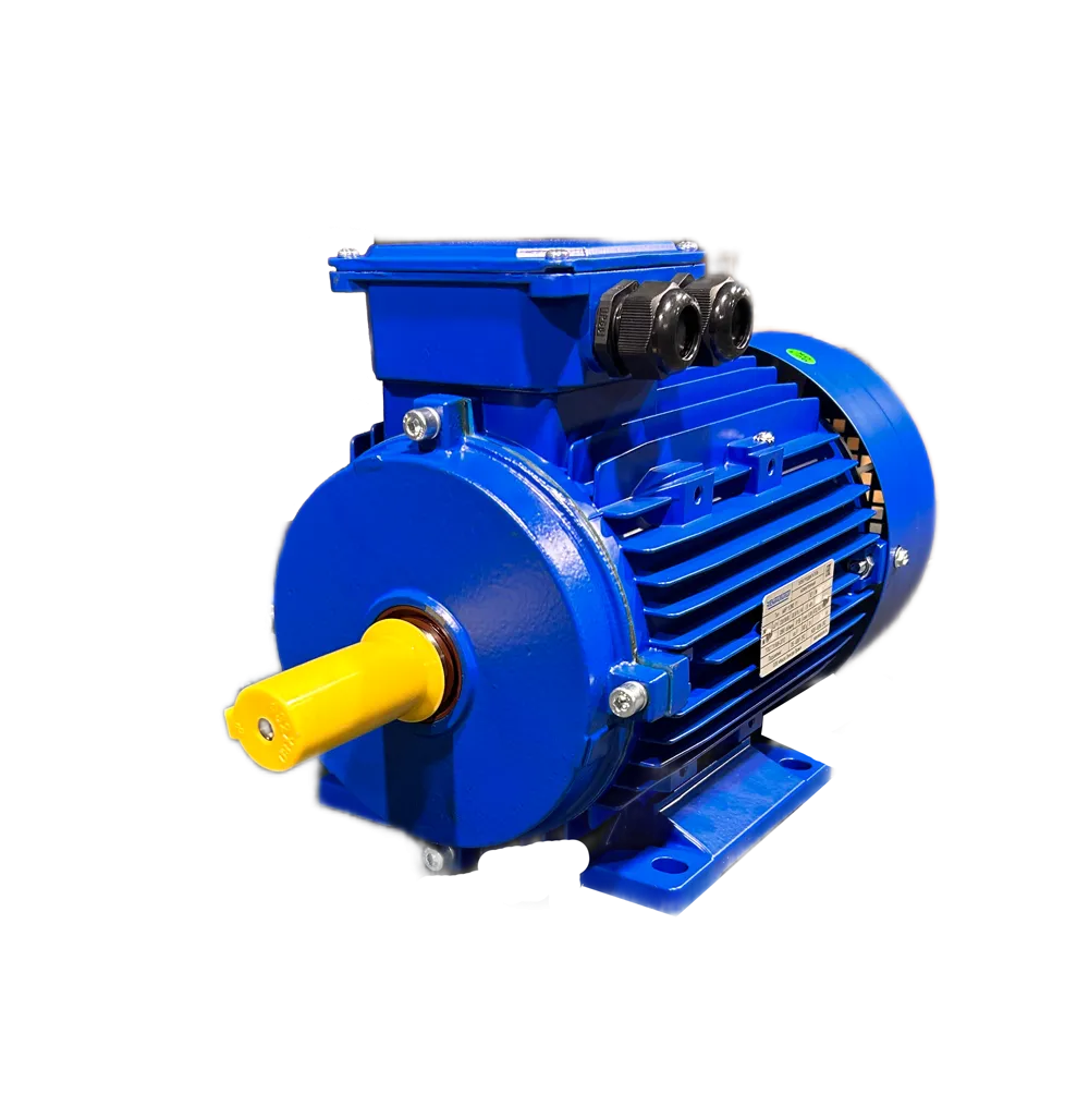 Общепромышленные электродвигатели —  АИР 112МВ6