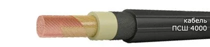 Кабель ПСШ 4000 2,5