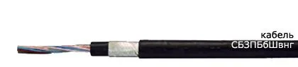 Кабель СБЗПБбШвнг 6х2x4