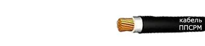 Кабель ППСРН 1х240